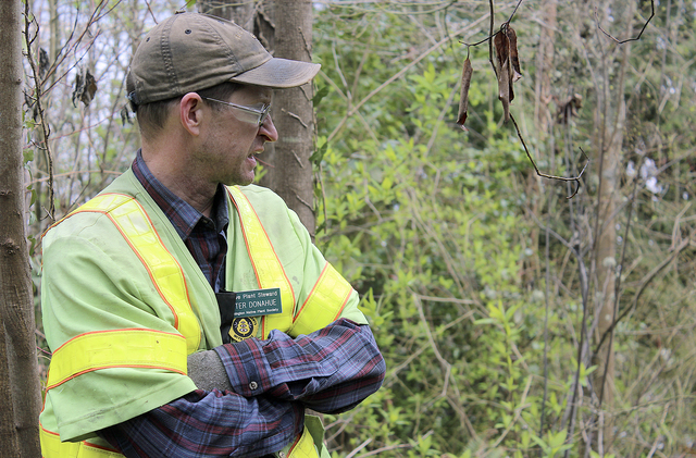 Forest Steward Peter Donahue looking over the chunk of land he stewards. Photo by Sara Bernard