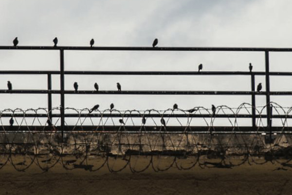 ‘Zek’ Rips the Walls Away From a Prison in Eastern Washington