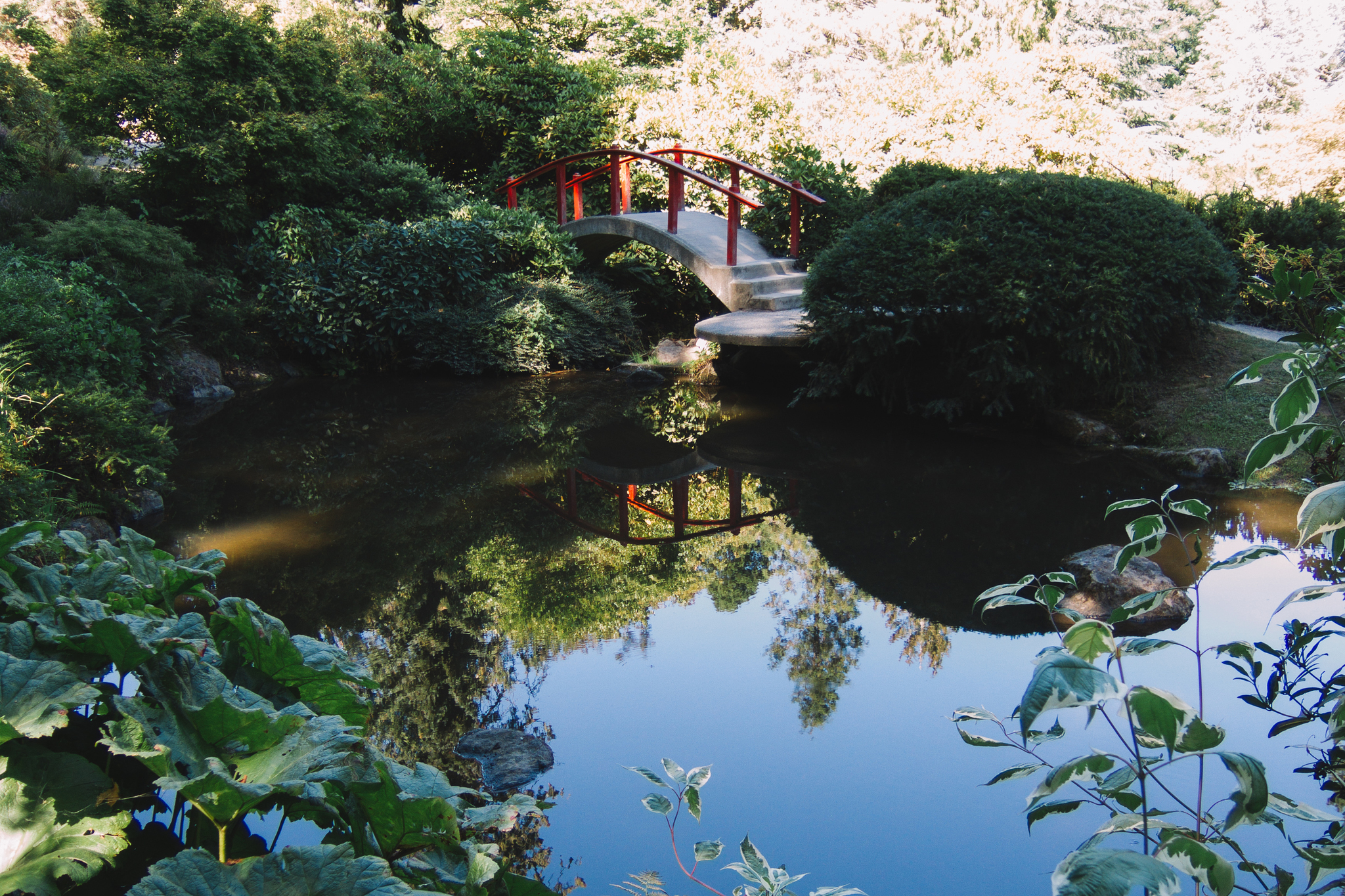 A Moment of Zen at Kubota Garden