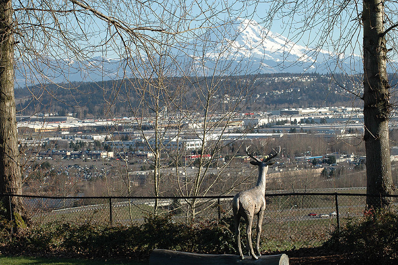 Overlooking Auburn, one of the cities that convened a task force on opioid addiction. Photo via Wikipedia