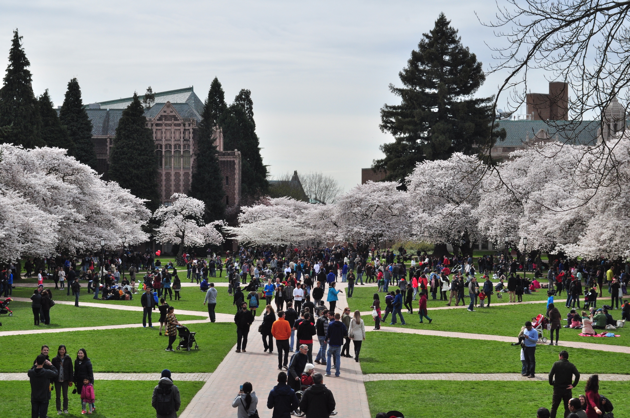 Diversity Numbers to Celebrate at University of Washington