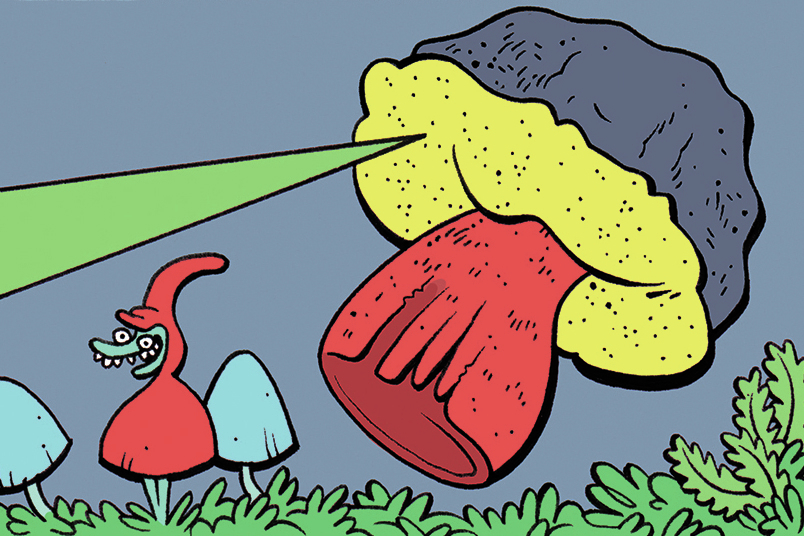 Gnartoons: A Shroom Named Boletus