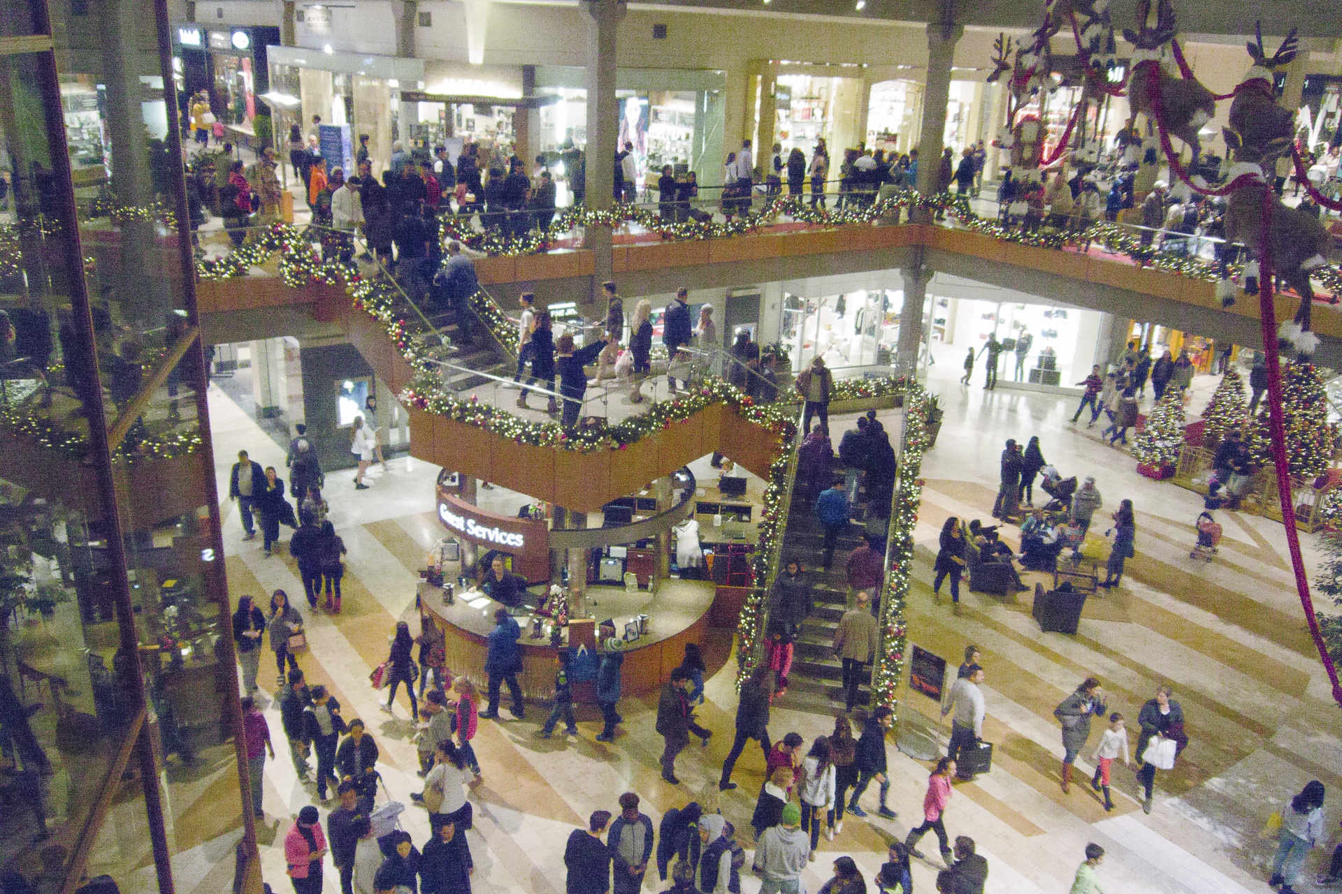 Black Friday Frenzy at Bellevue Square Mall
