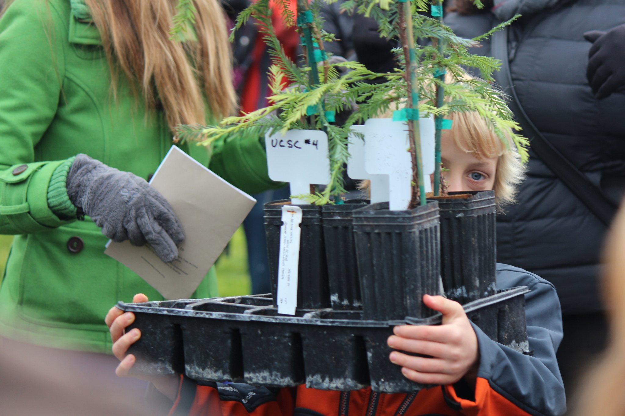 Kid Climate Activists Still Planting Trees, Inspiring Grownups