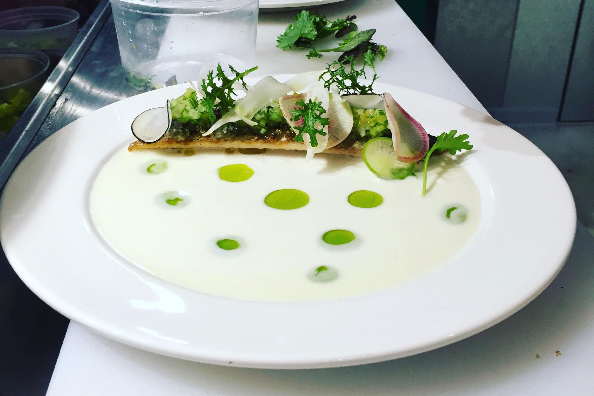 Grilled Alaskan herring with horseradish cream, and fennel and radish salad. Courtesy of L’Oursin