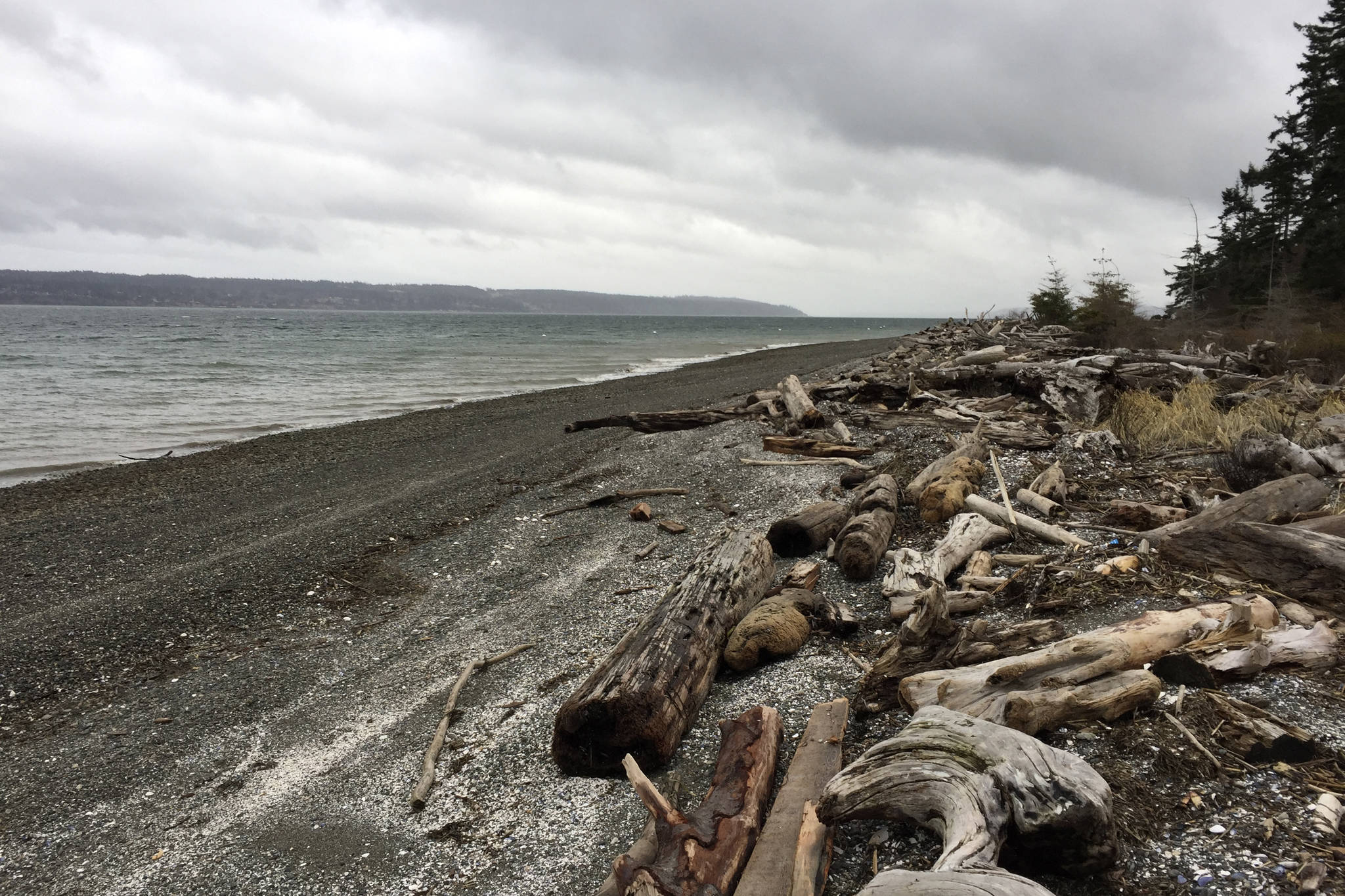 Puget Sound, as seen from Whidbey Island. Photo by Sara Bernard.