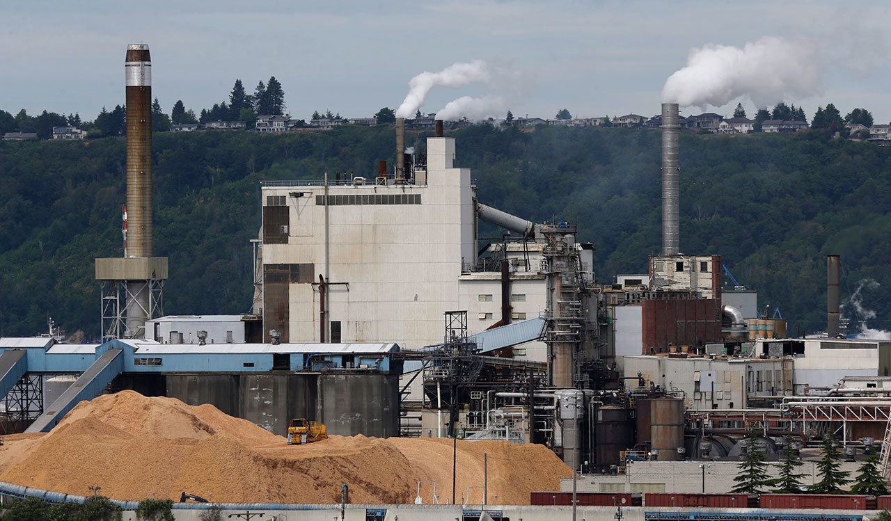 Piles of wood chips sit near the RockTenn paper mill in Tacoma in June. (Ted S. Warren/Associated Press)