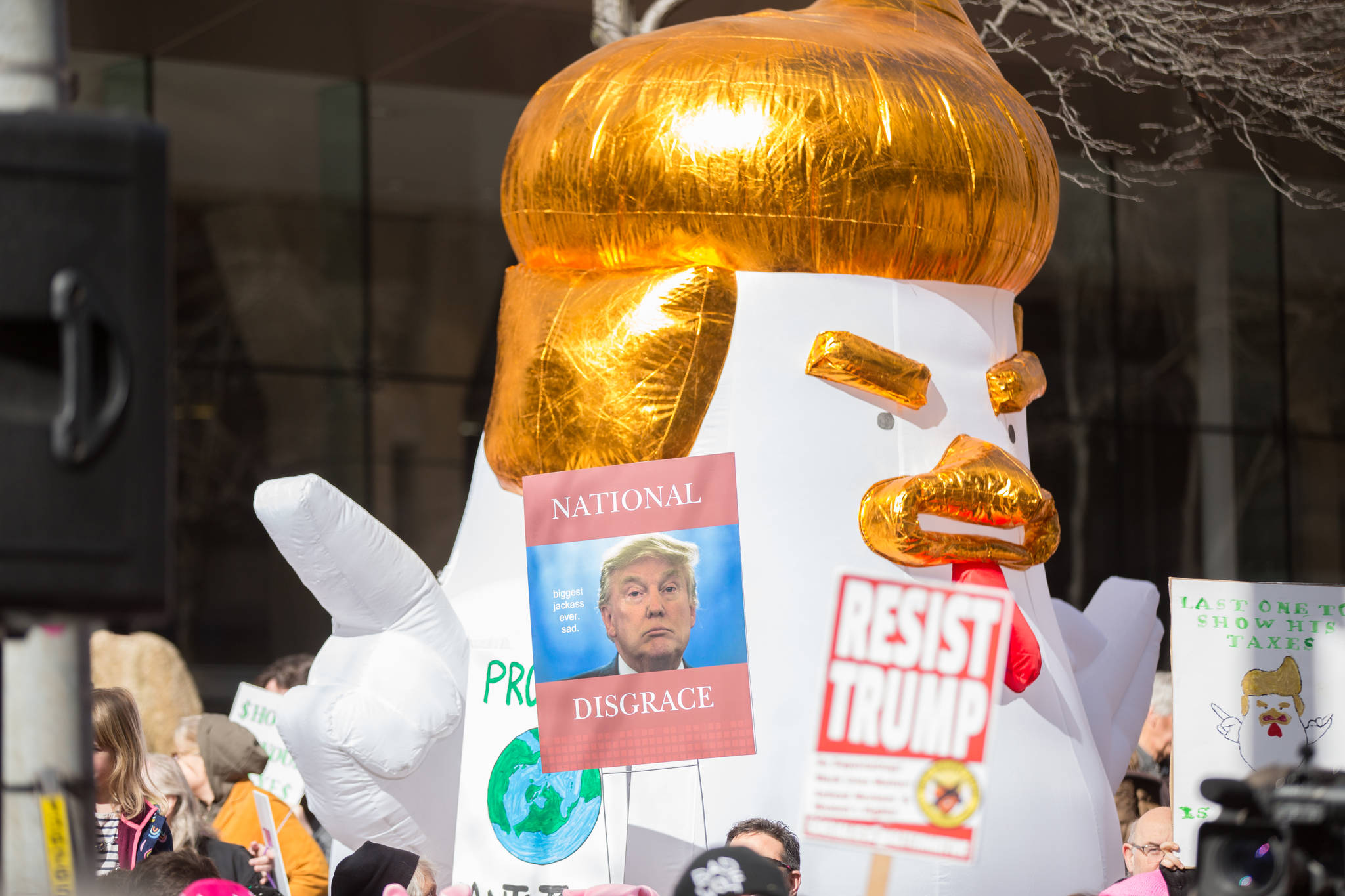The giant chicken—present at many of the tax marches around the country—looked out over the crowd like a silent sentinel, set to spy on those demanding tax returns from Trump.