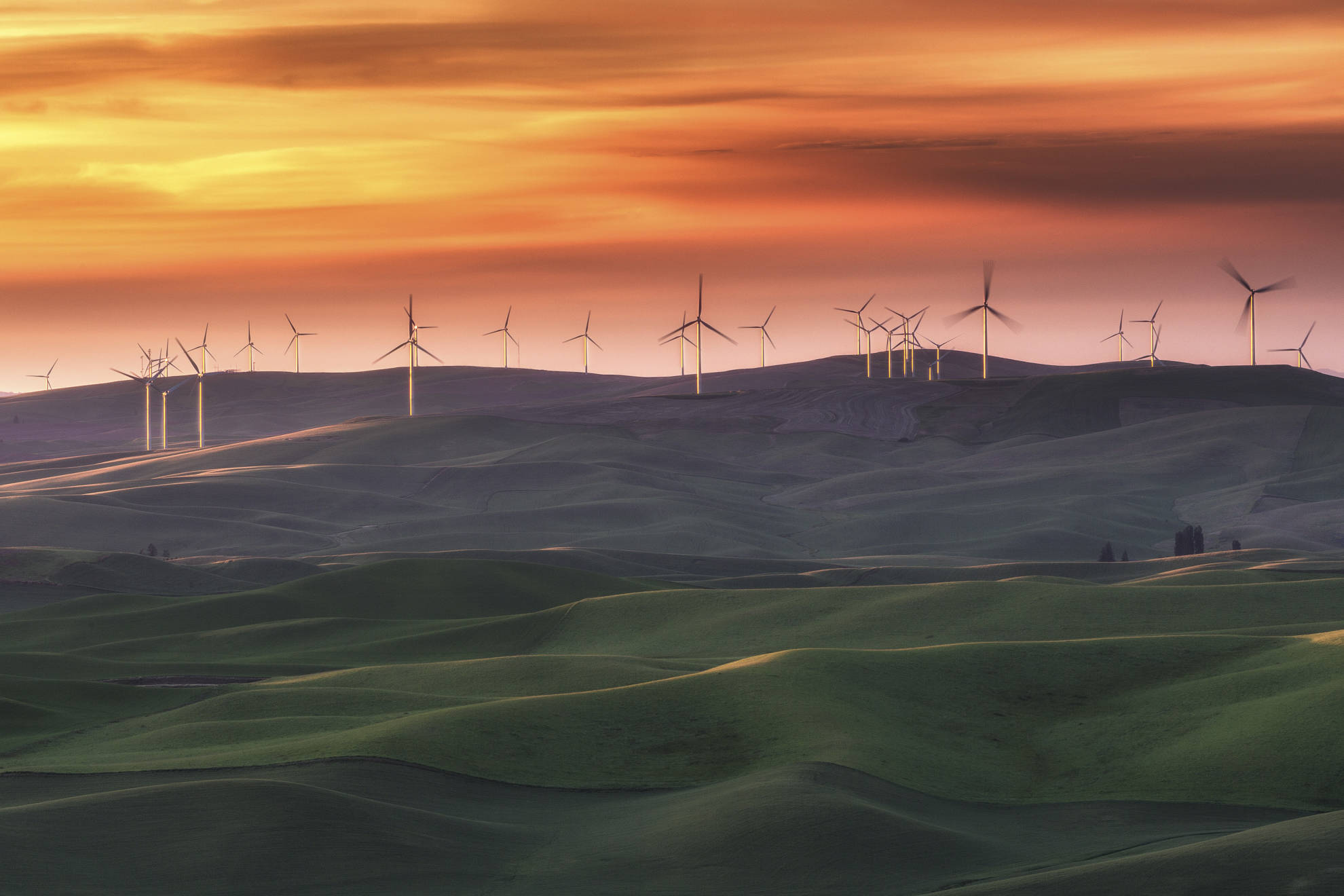 Palouse Wind Farm, eastern Washington. Photo by Chris Weber, Flickr Creative Commons