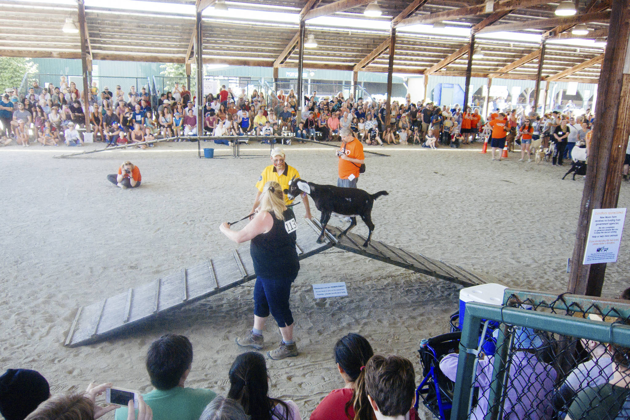 Bleating and Competing at the 2017 Goatalympics