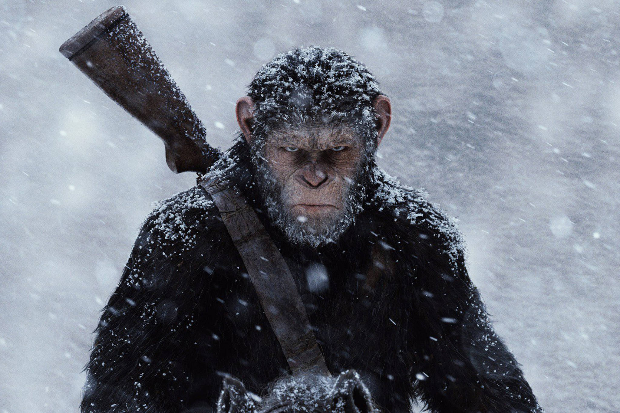 ‘War for the Planet of the Apes’ Is Prime Primate Action