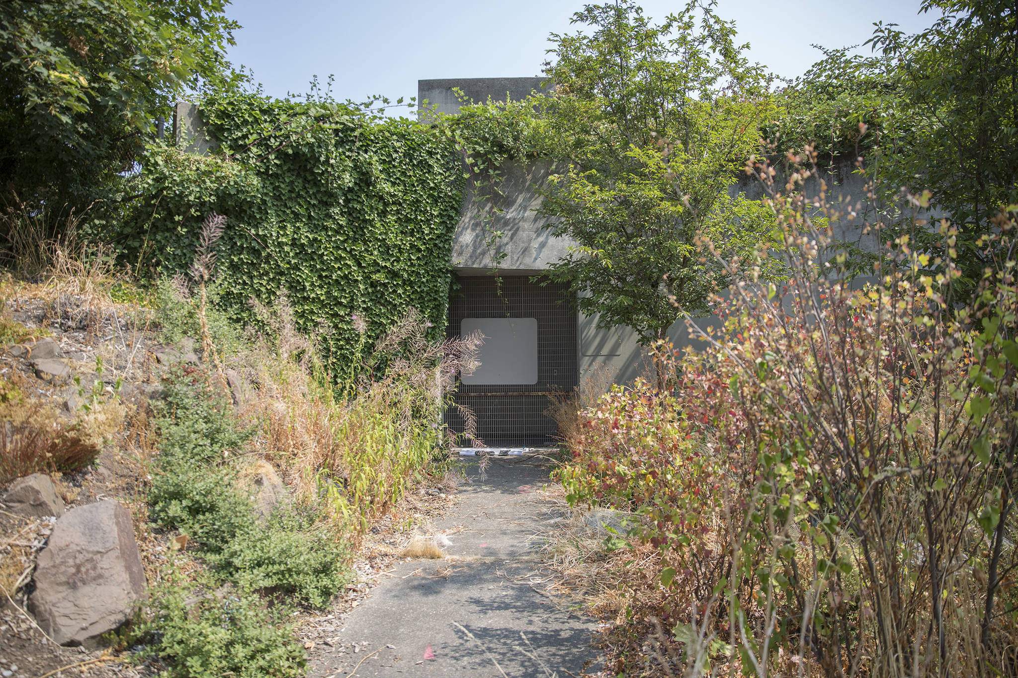 Officials intended to dot the American landscape with shelters like this one, located beneath I-5 at the north end of the Ravenna Park Bridge. It never happened. Experts now believe the structure may have done little to protect its inhabitants.
