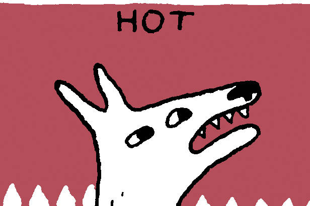 BAD BOY COMIX: HOT OR NOT