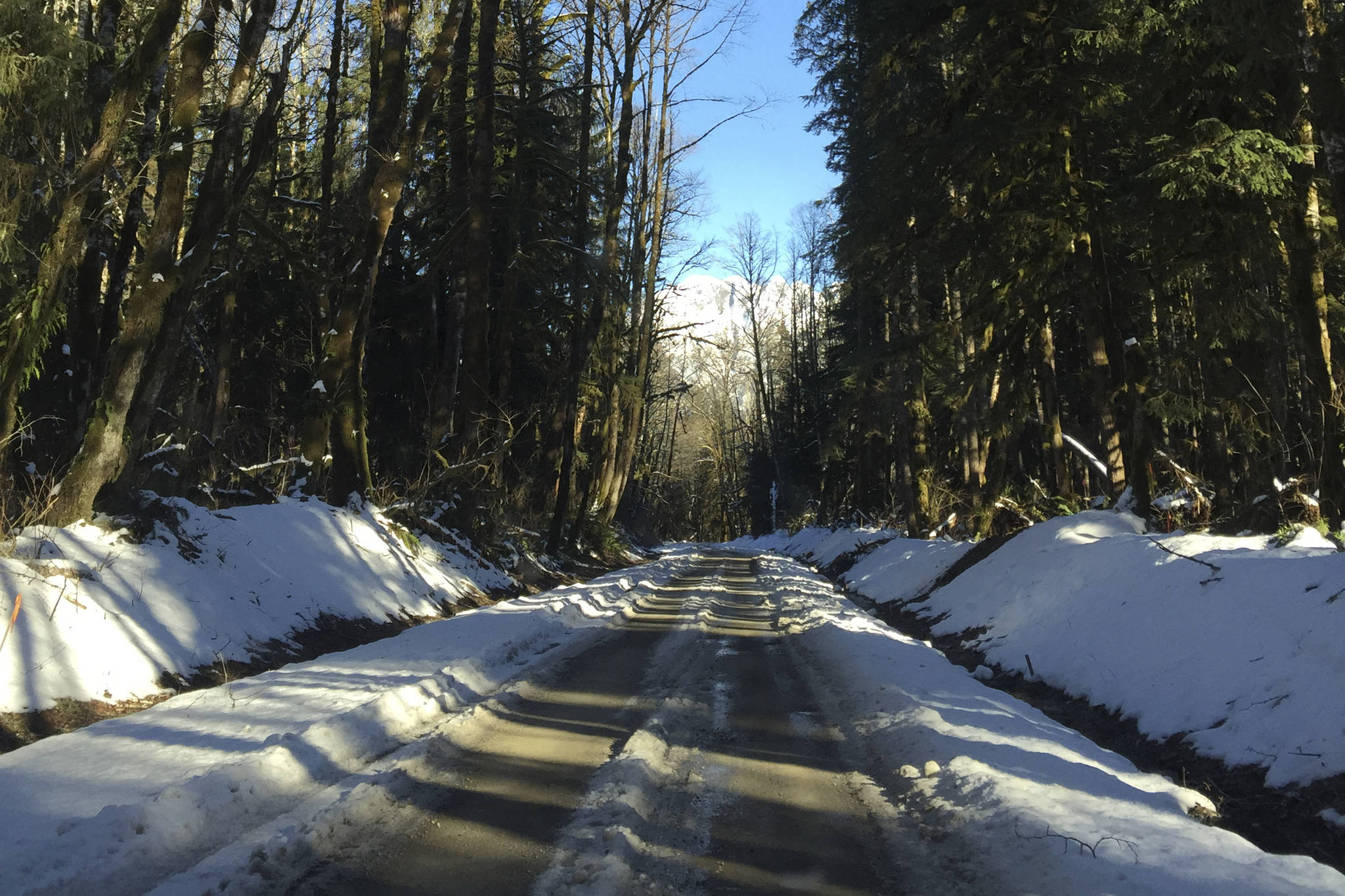 The old Middle Fork Road in winter. Photo by Sara Bernard