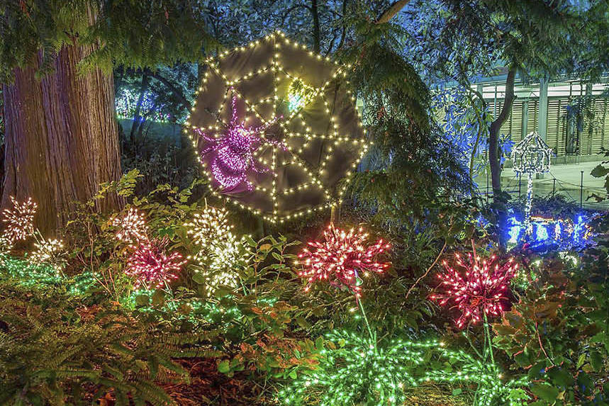 At Bellevue Botanical Garden, a Half-Million Lights Delight