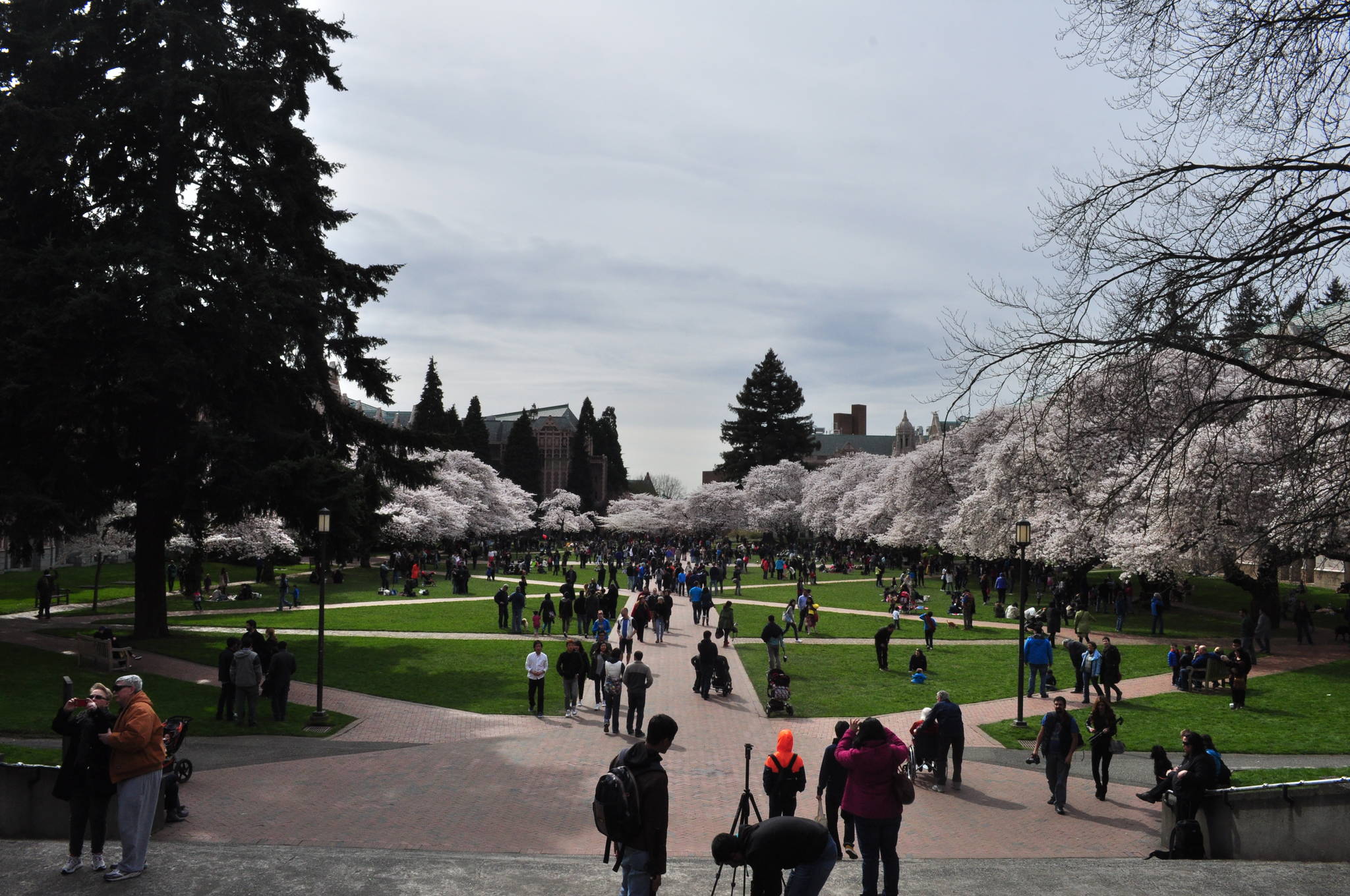 UW’s campus may be getting bigger. Photo by Joe Mabel/Flickr