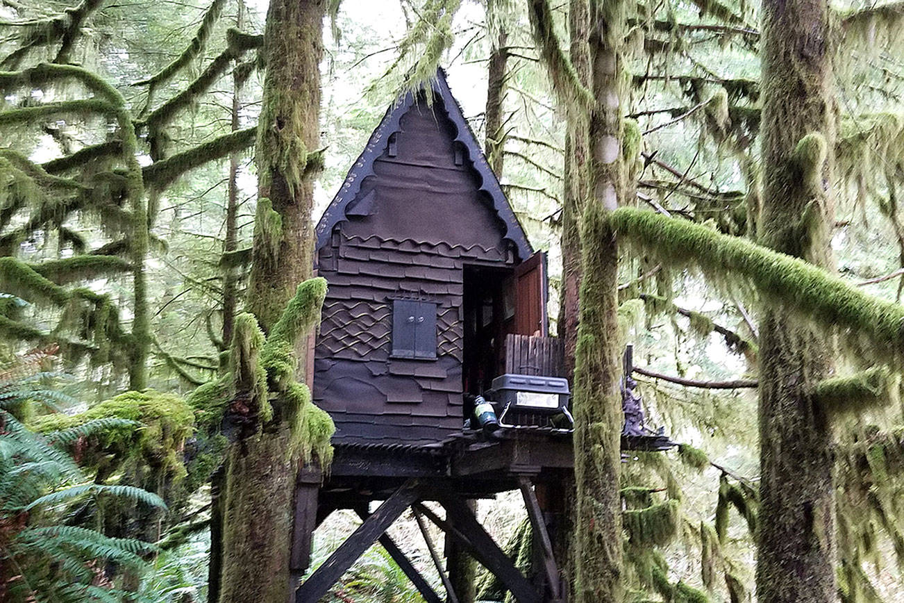 Snoqualmie National Forest Tree House Contained Child Porn