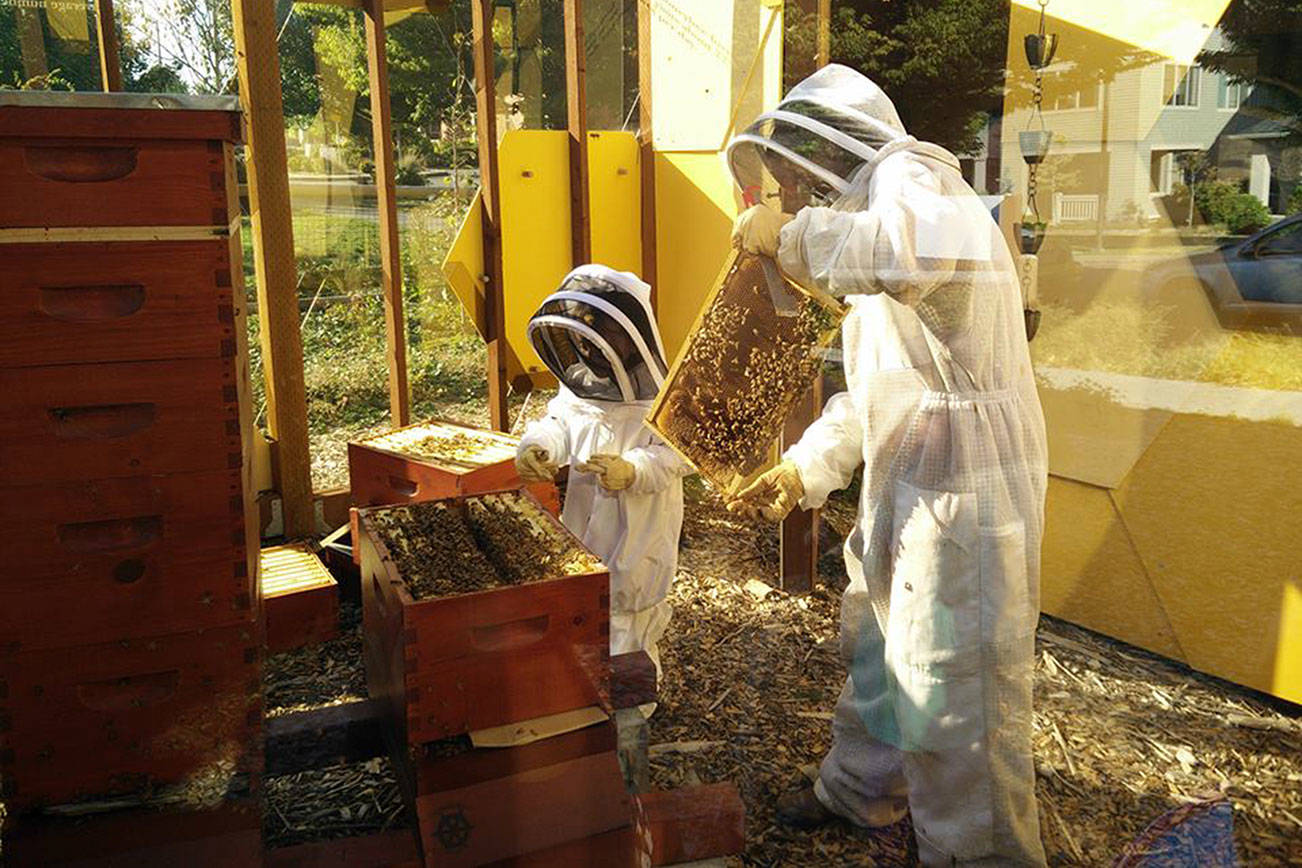 The West Seattle Bee Garden at High Point Commons Garden serves as the hub for the annual West Seattle Bee Festival. Photo courtesy West Seattle Bee Garden