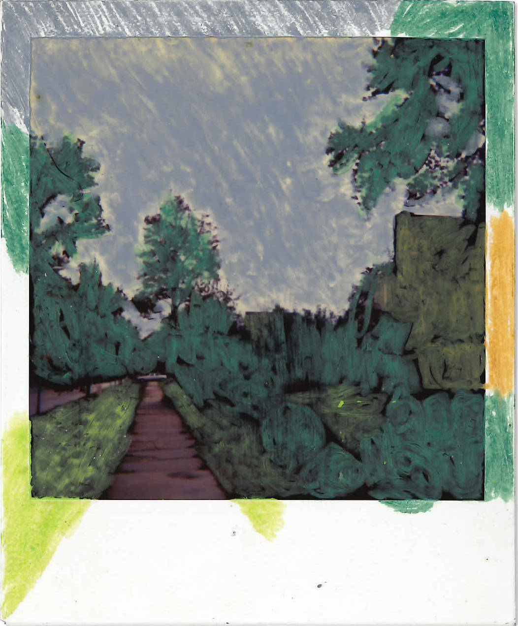 An example of the “Painterly” Polaroids. From the collection of Robert E. Jackson