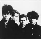Dinosaurs and Bunnymen