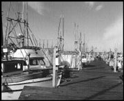 A win for fishermen?