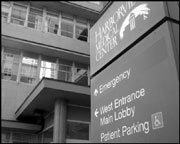 Confiscated: 32 guns and 2,000 other weapons.