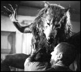 When animals attack!