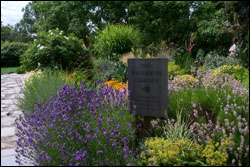 The very colorfultrust usWaterwise Garden in Bellevue demonstrates thirstless landscaping techniques.