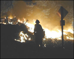 Firefighters tackle Washingtons Farewell Creek blaze this summer.