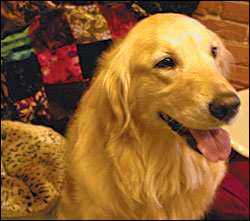 The Gift That Keeps on Woofing