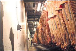 Sides of beef await cutting at the Washington Beef slaughterhouse in Toppenish, Yakima County.