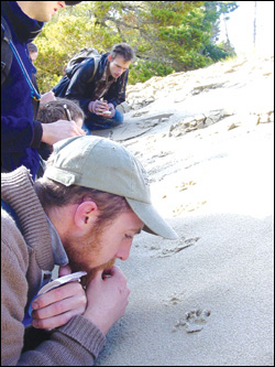 CSI Snoqualmie: The Wilderness Awareness School's tracking club tries to decipher paw prints in the sand.