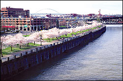 Ground zero for Portland's Ecotopian experiment: Portland.