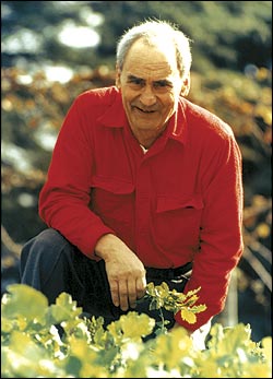 His way: Pellegrini in his backyard garden.