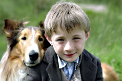Who's cuter—Lassie or Mason?