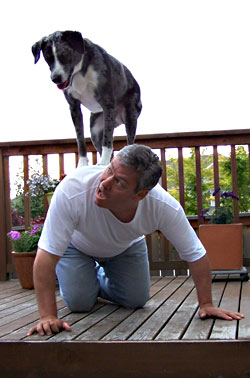 Blue's ability to "back stall" made him a celebrity in Canada.