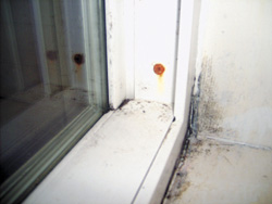 Shoddy apartment maintenance is a Sisley  family value.