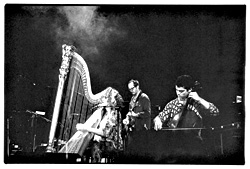 Baby Dee: church of the transgendered harpist.