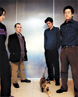 All you ever do is walk away: the Magnetic Fields and an offended feline.