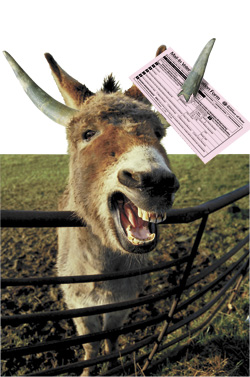 What do you get when you cross a donkey with a load of bull? A crappy state caucus system.