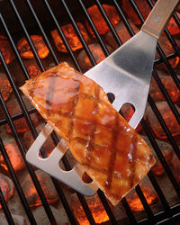 16th annual Salmon Homecoming