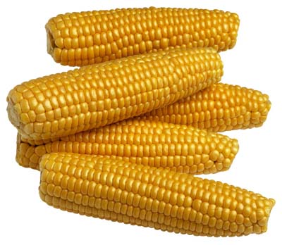 Corn on Macabre