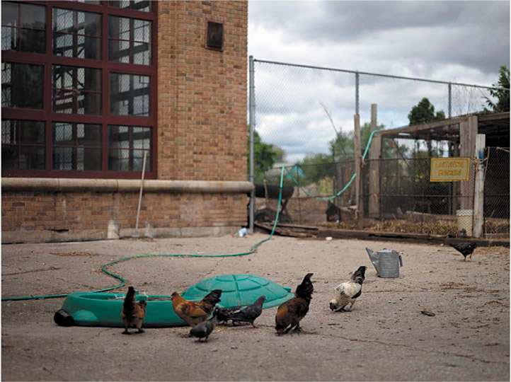 Arthur S. Aubry and David Hartt