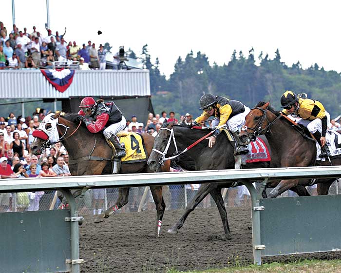 Last years Longacres Mile winner Wasserman (No. 4) is back to defend his title.