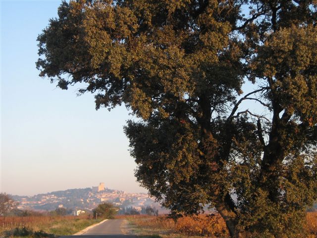 The view from Mas de la Lionne includes a look at Chateauneuf du Pape, a former summer getaway for the Pope.