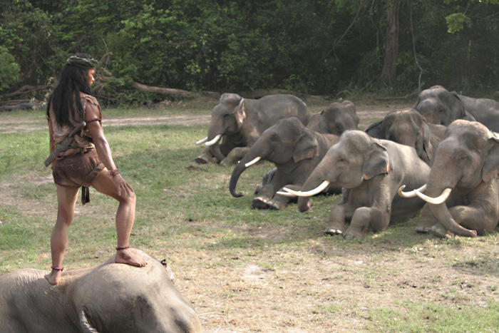Jaa totally rules his pachyderm herd.