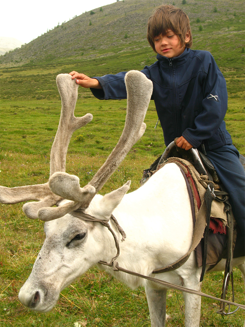 Rowan and the reindeer.