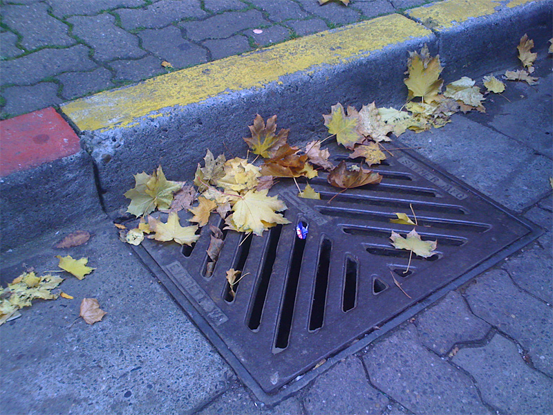 Is this drain cute enough to compel you to adopt it? The city hopes so.