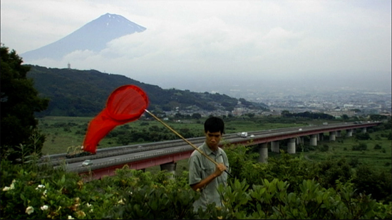 A collector in the field.