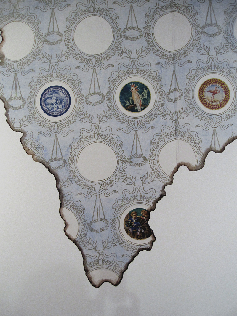 The Fussy Eye: The Origin of Species